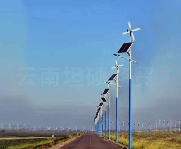 新農村風光互補路燈